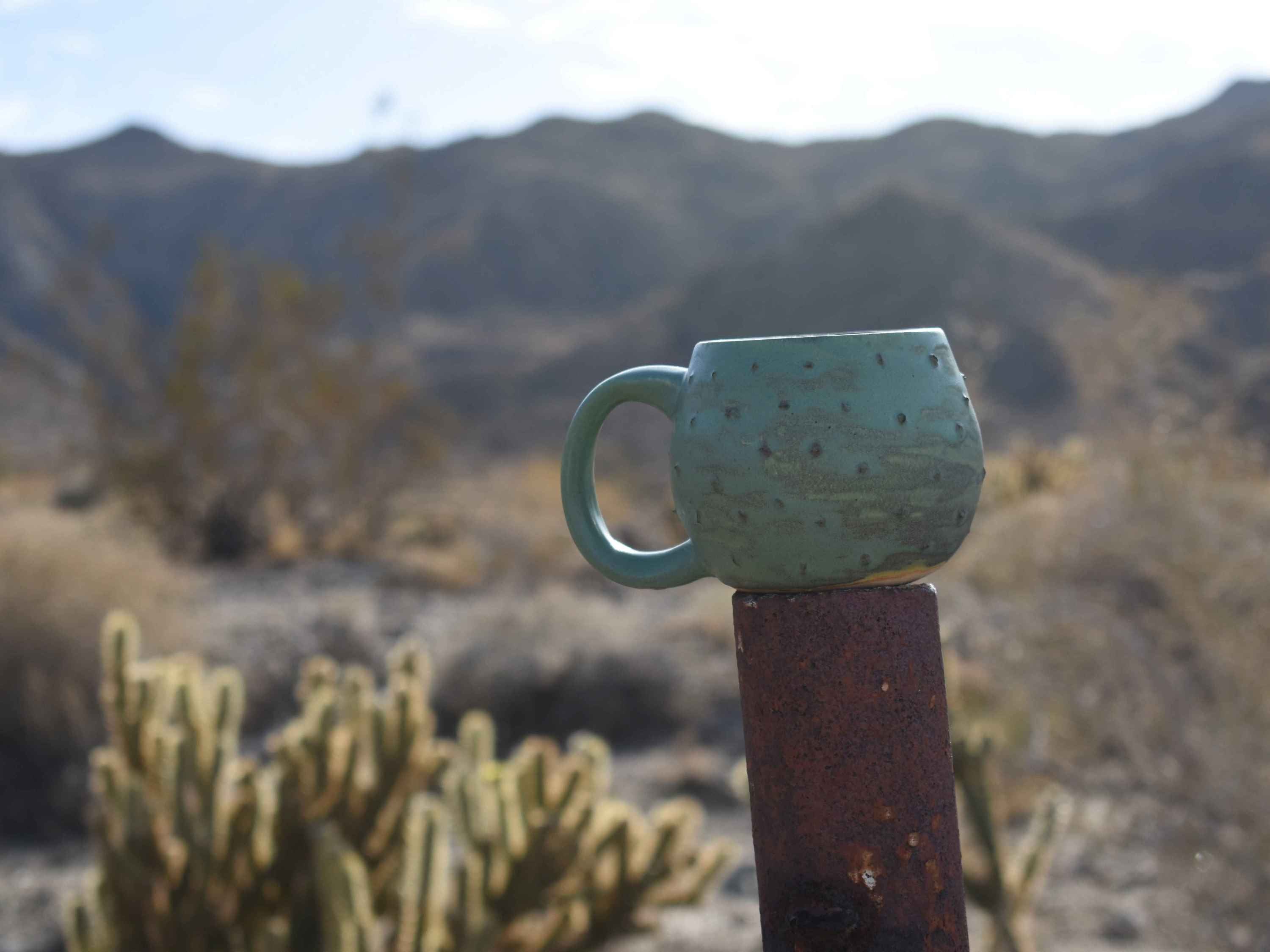 Western Cactus Coffee Mug, 15 oz Mug with Handle, Punchy, Leopard, Desert