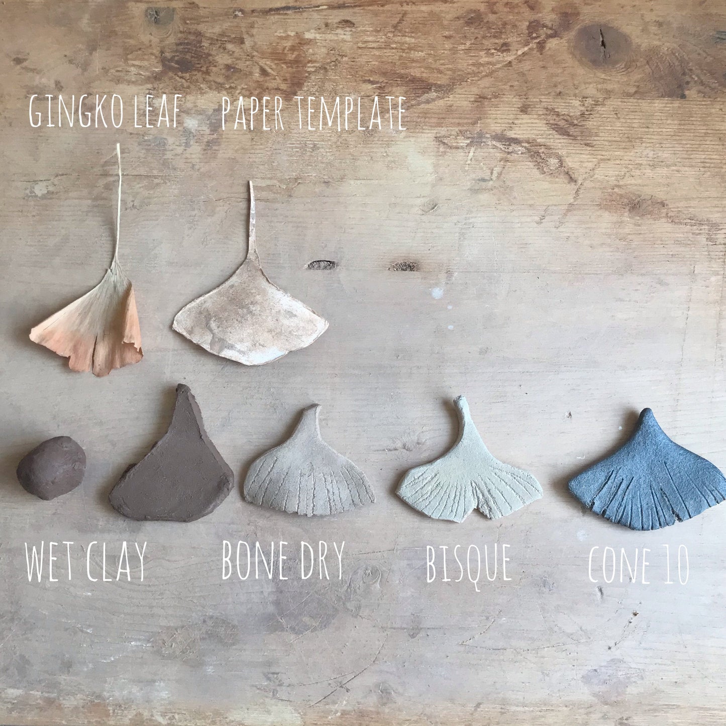 ginkgo leaf wall hanging