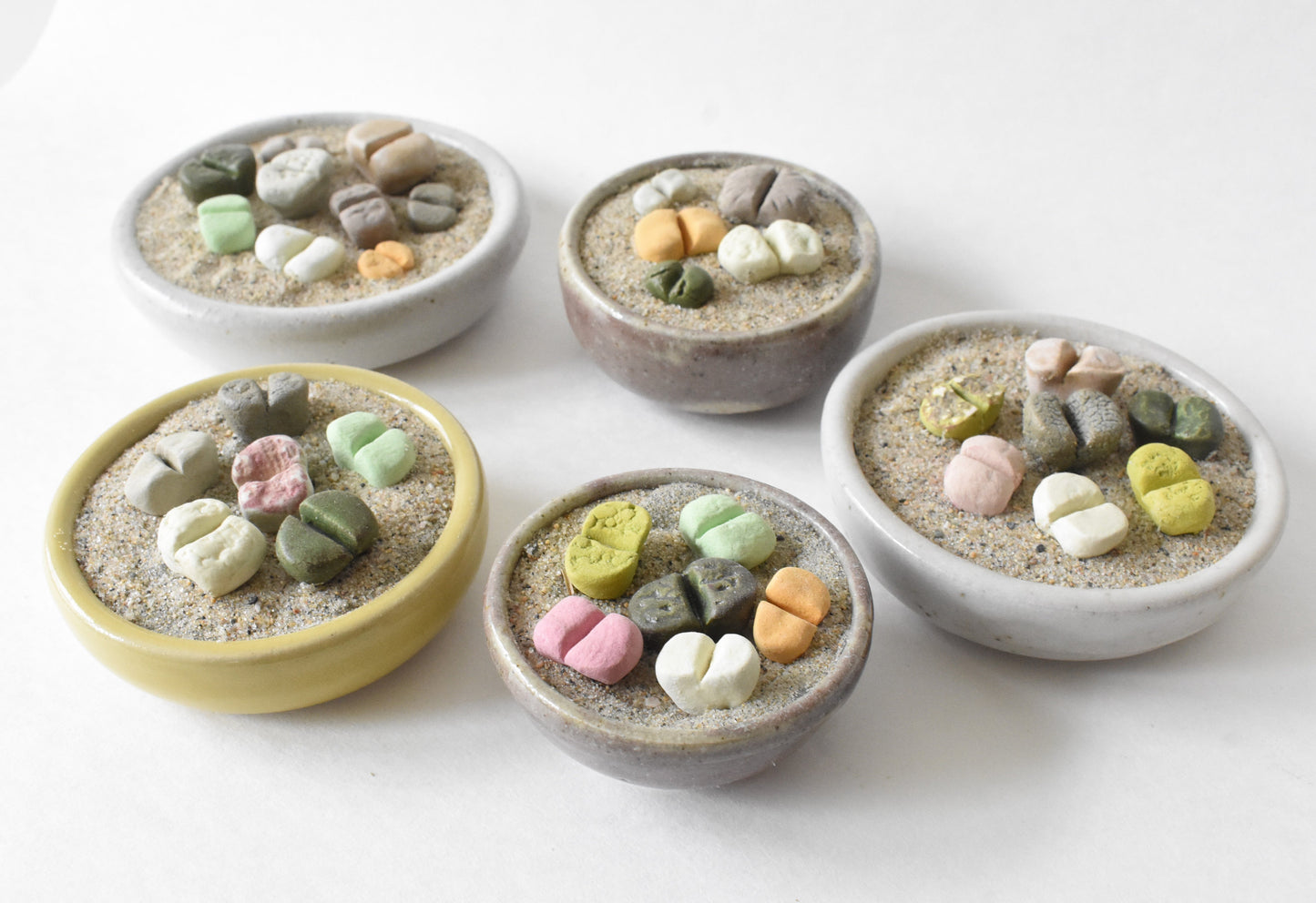 ceramic lithops