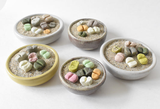 ceramic lithops