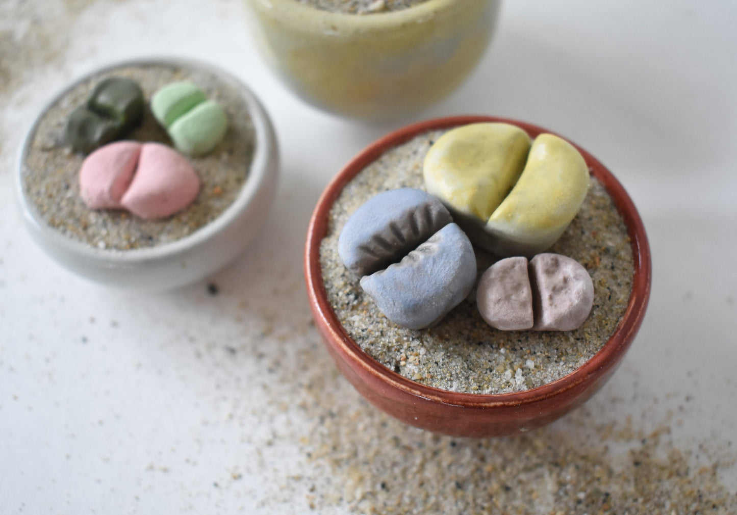 ceramic lithops