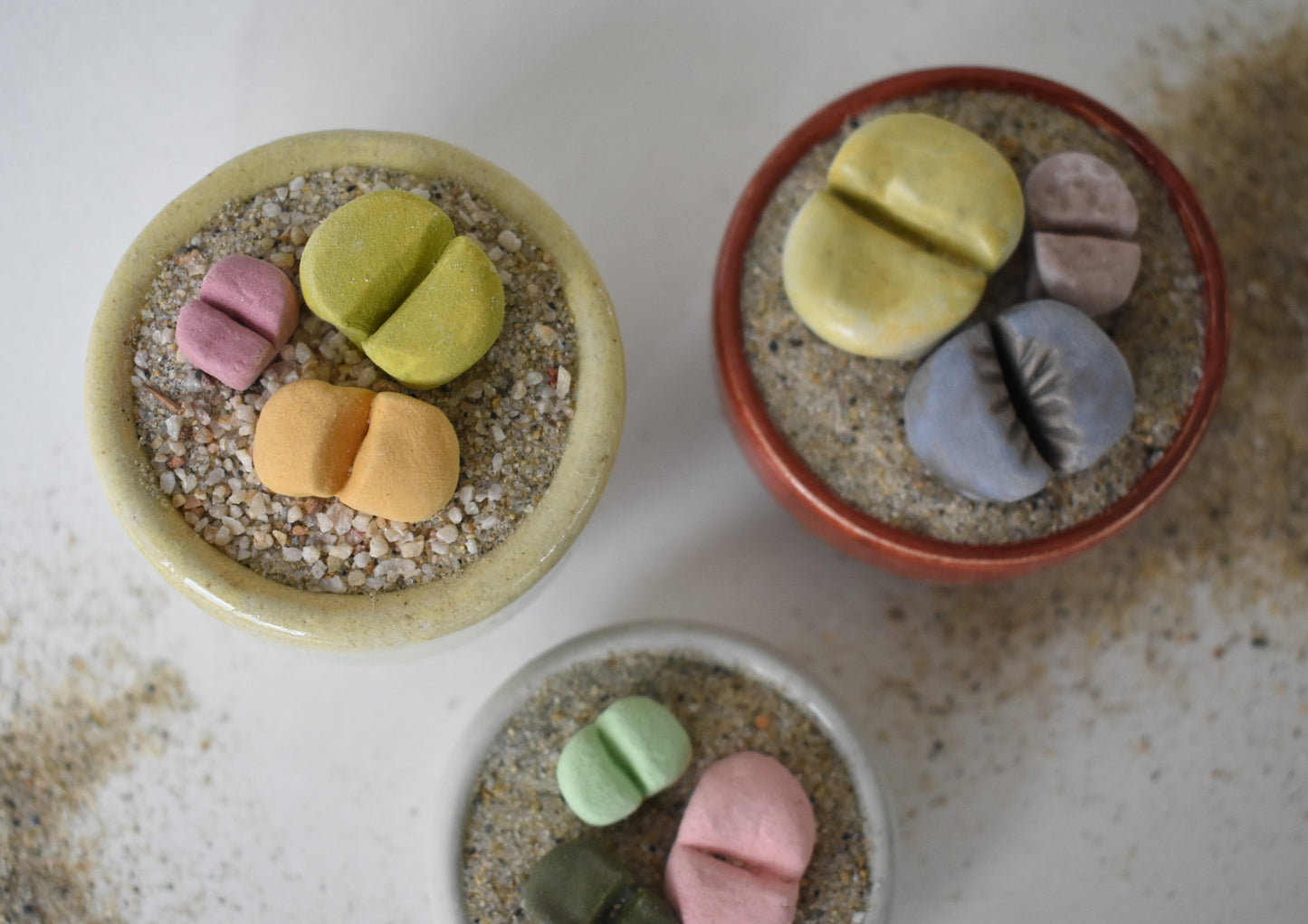 ceramic lithops