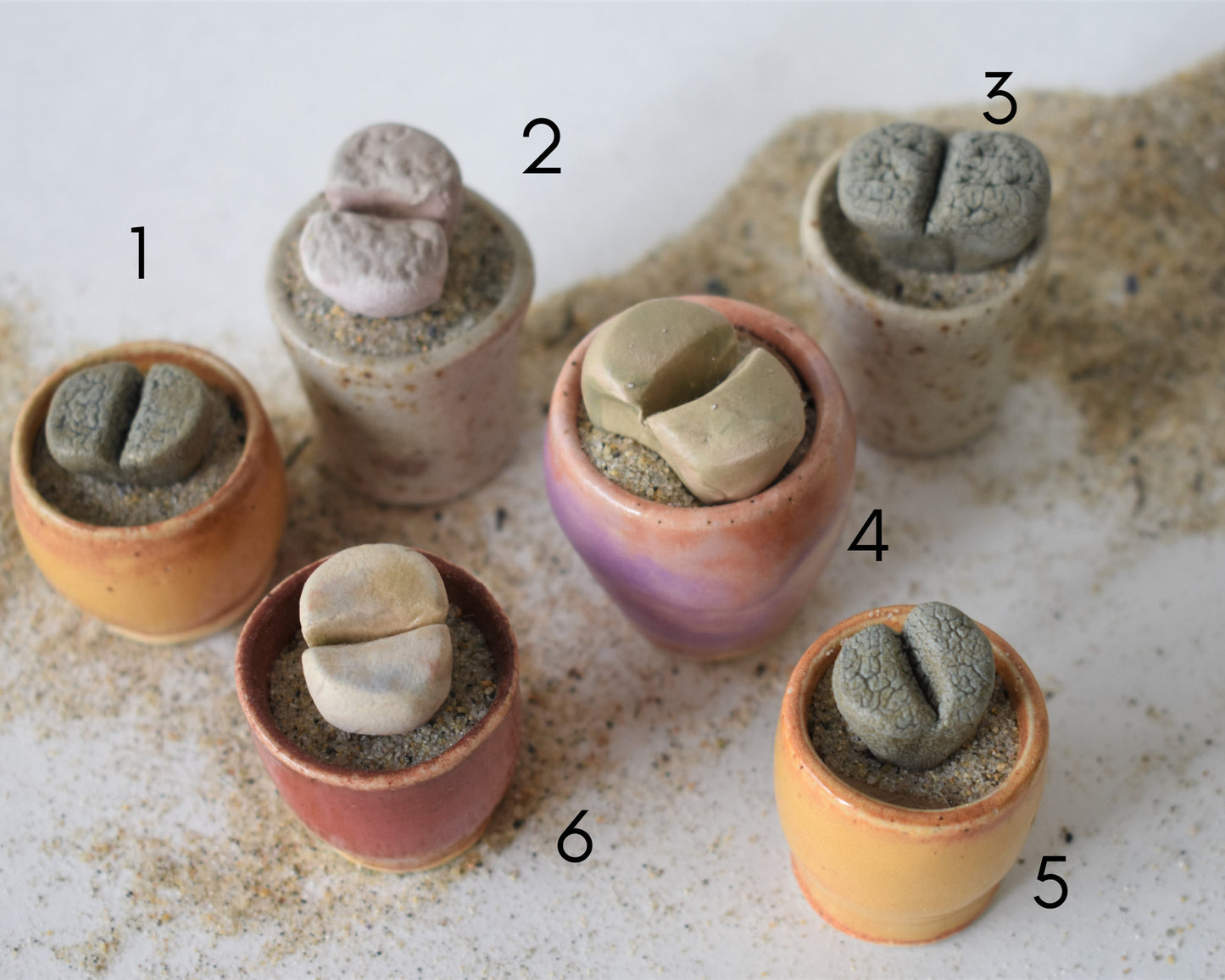 ceramic lithops