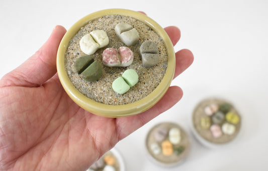 ceramic lithops