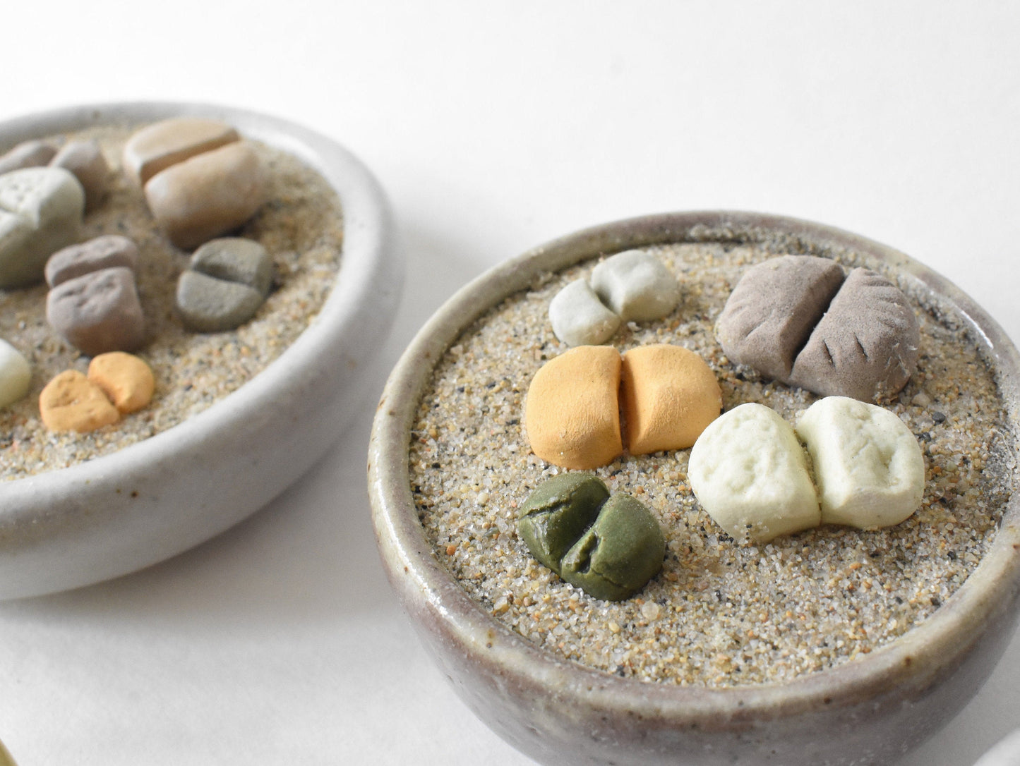 ceramic lithops