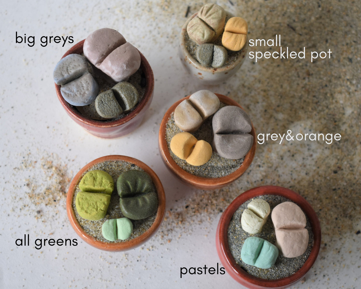 ceramic lithops