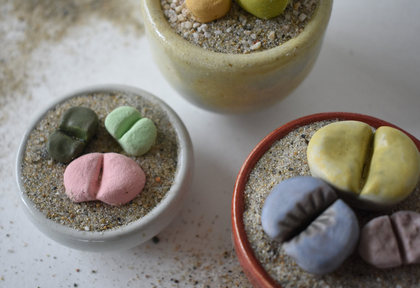 ceramic lithops