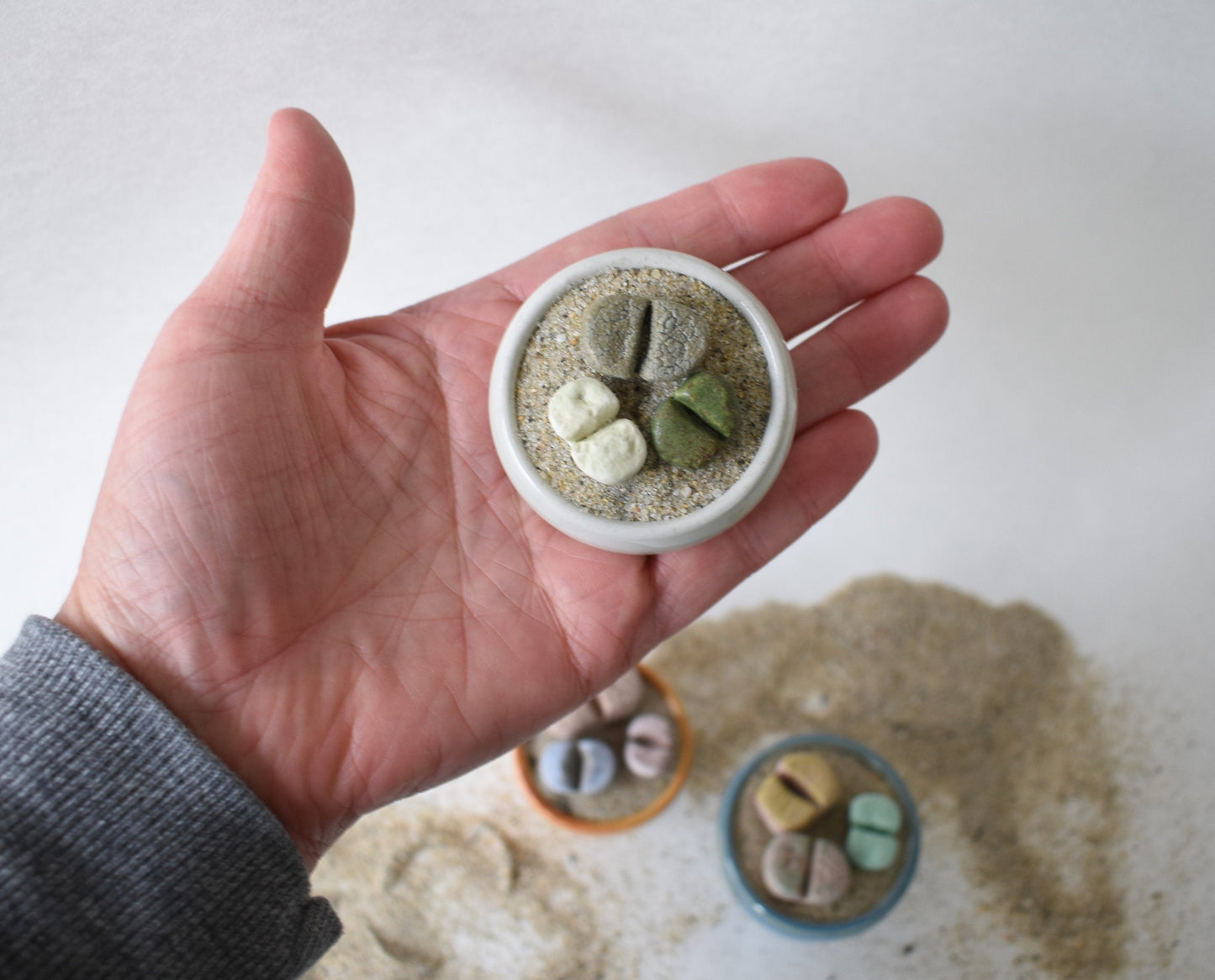 ceramic lithops