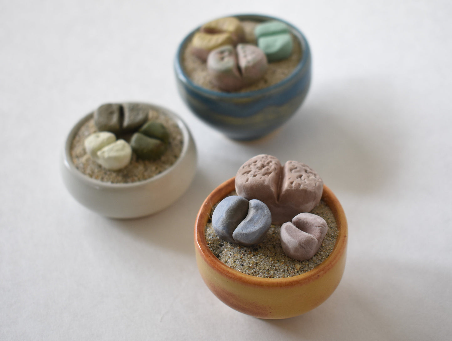 ceramic lithops