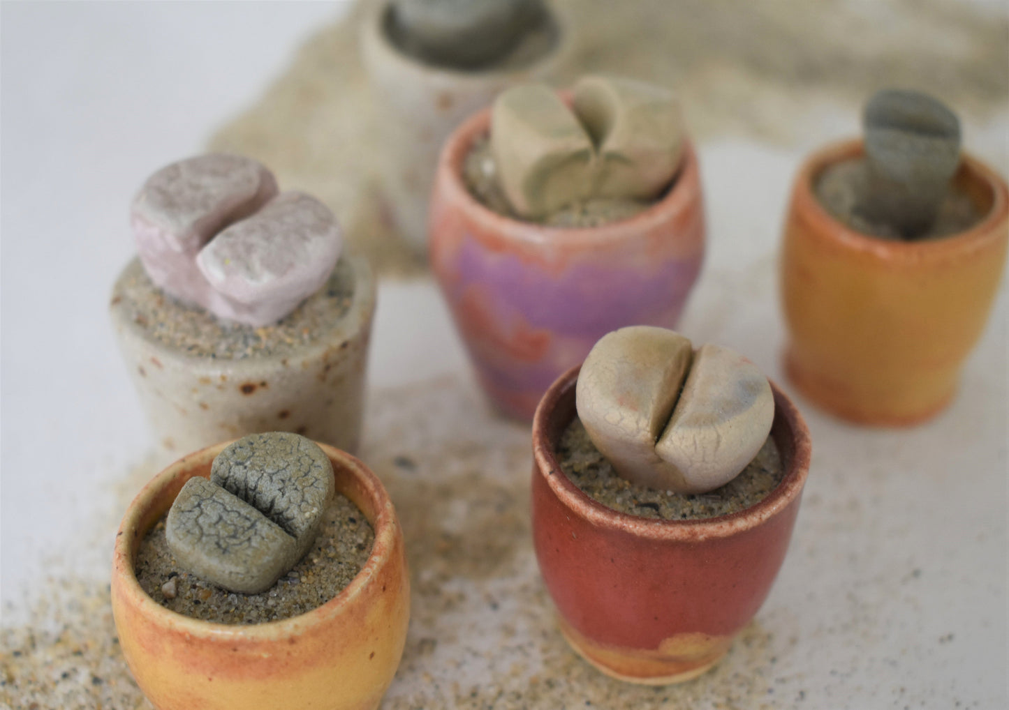 ceramic lithops