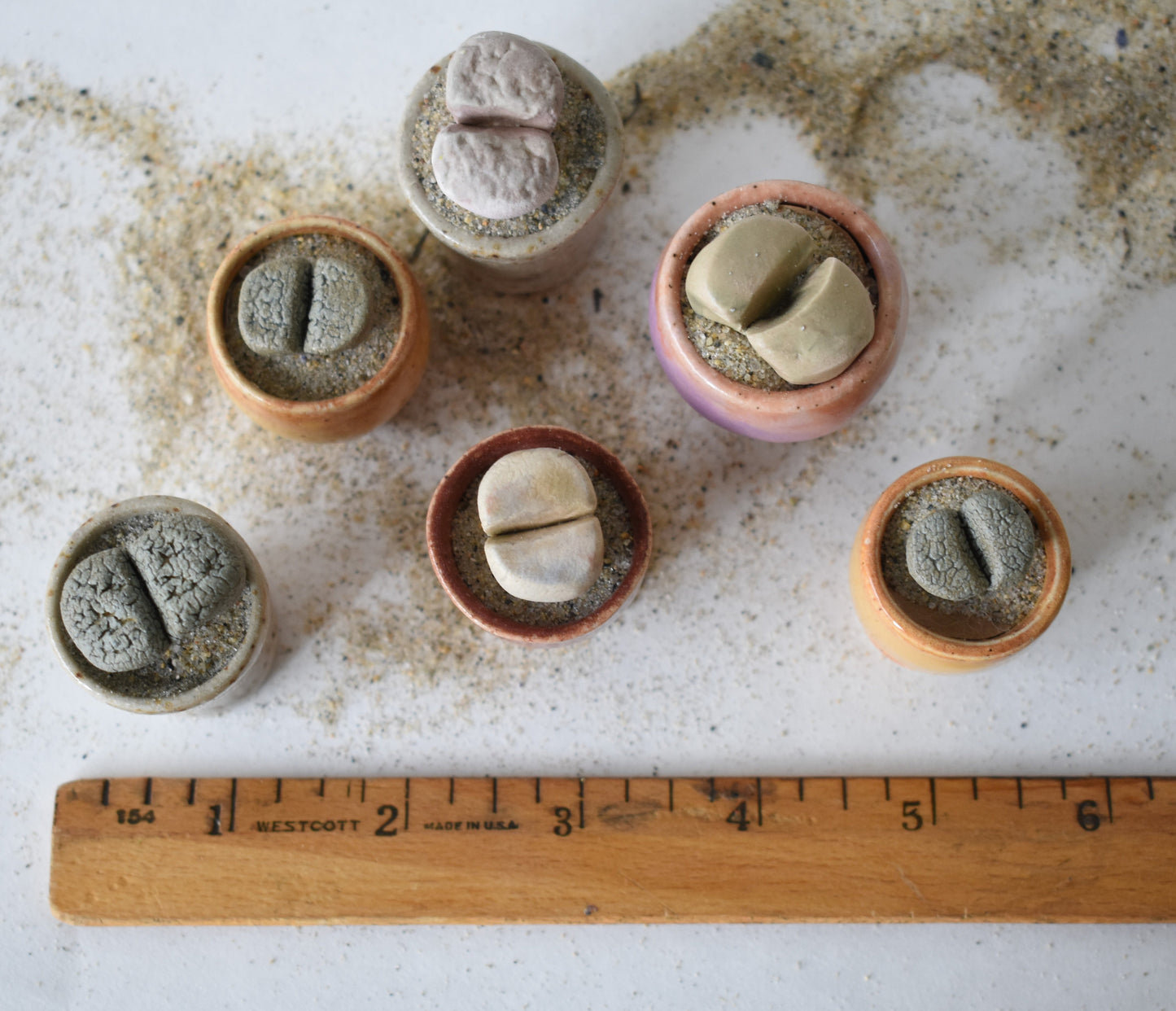 ceramic lithops