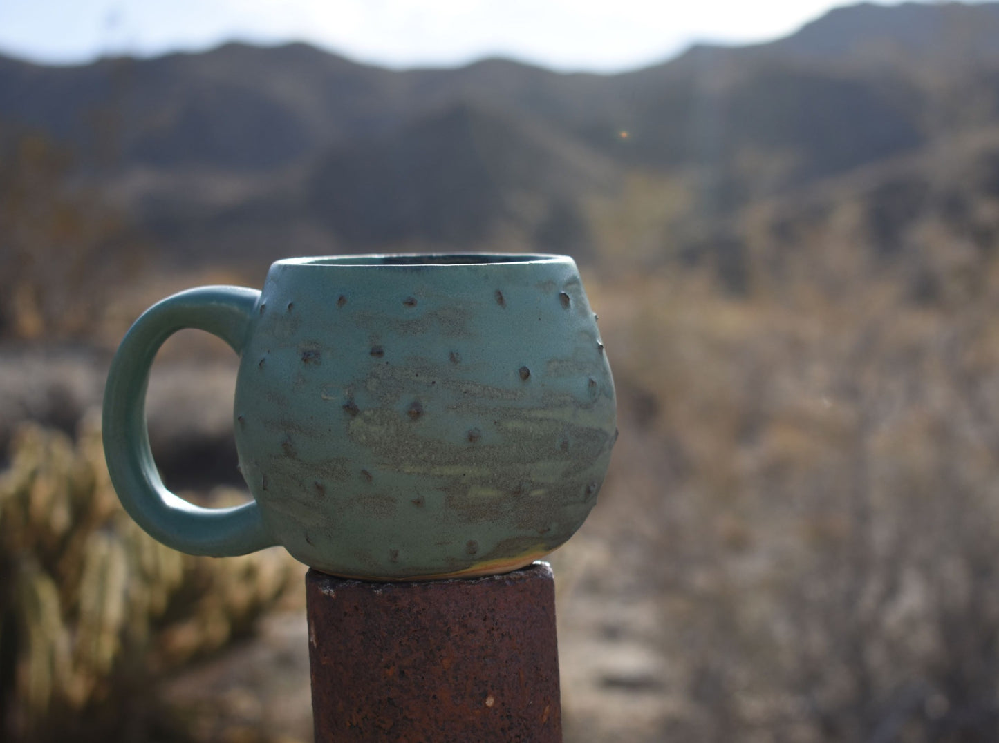 cactus mug