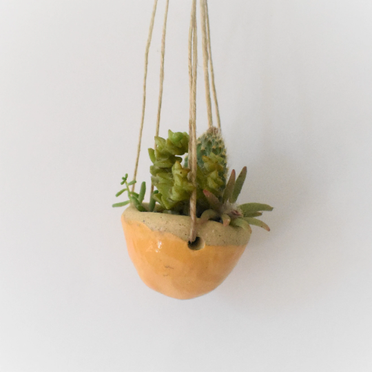 teeny tiny hanging planter