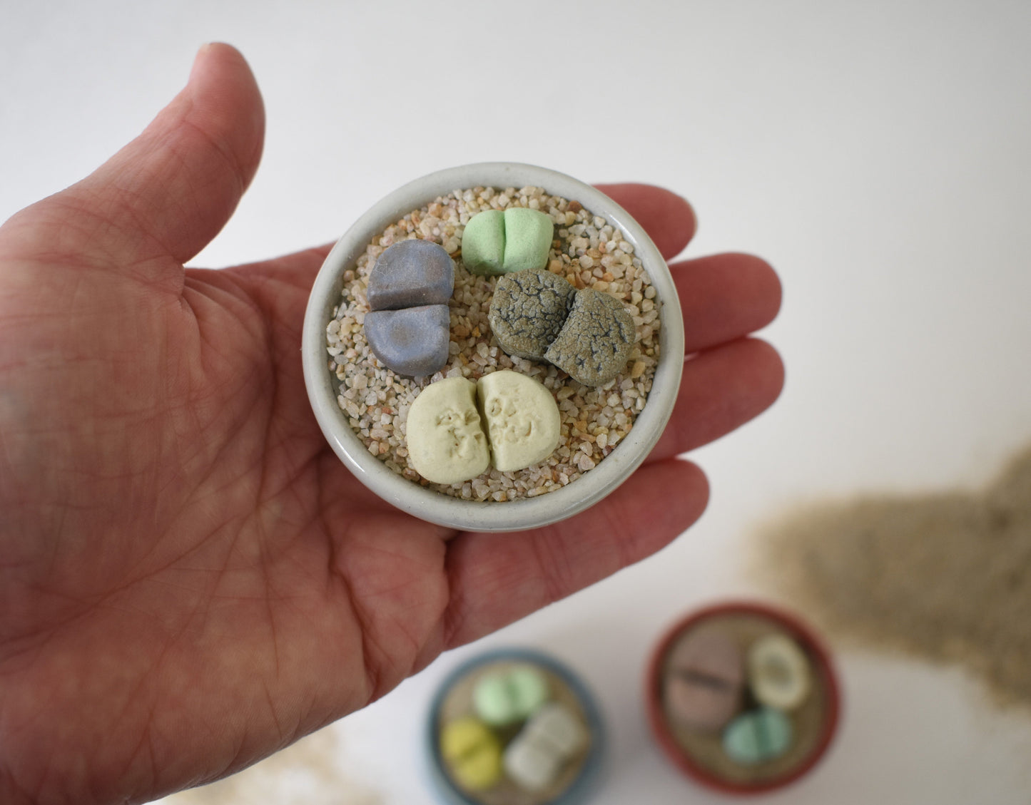 ceramic lithops