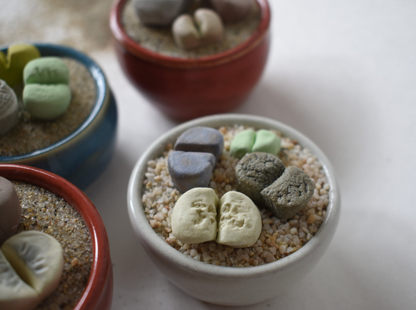 ceramic lithops