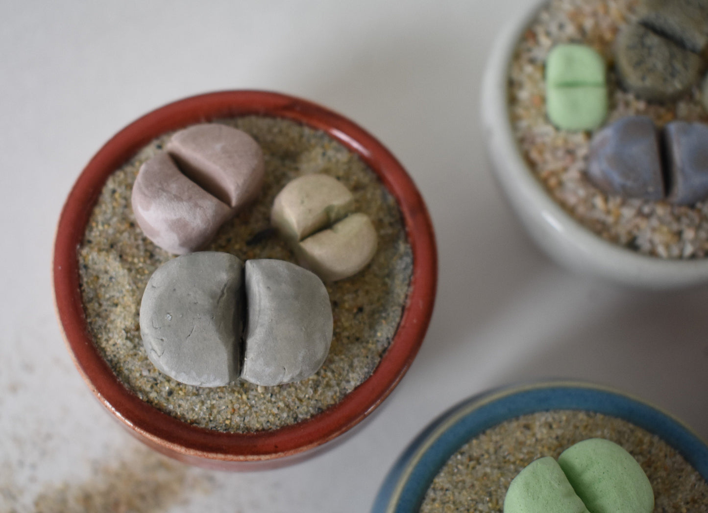 ceramic lithops