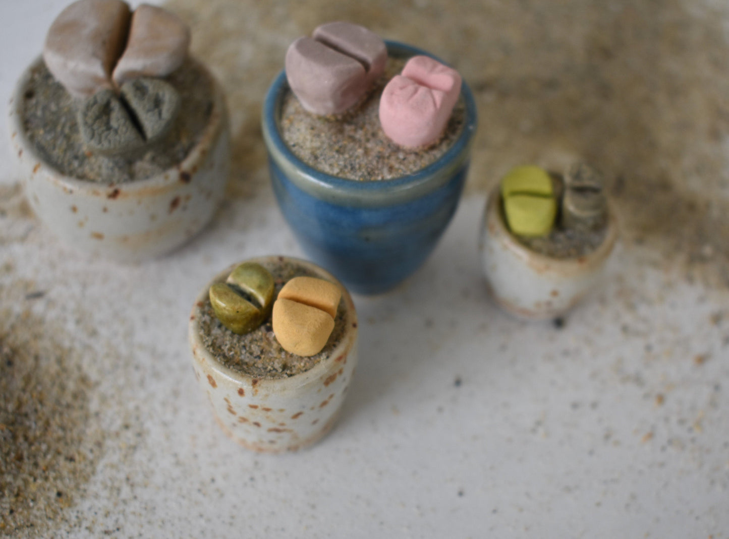 ceramic lithops