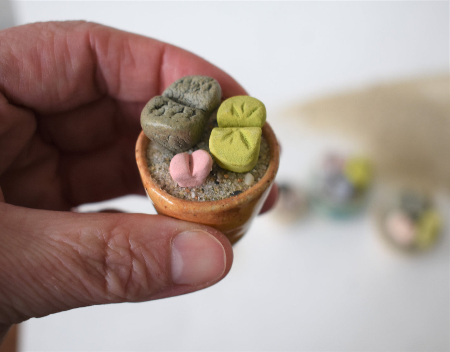 ceramic lithops