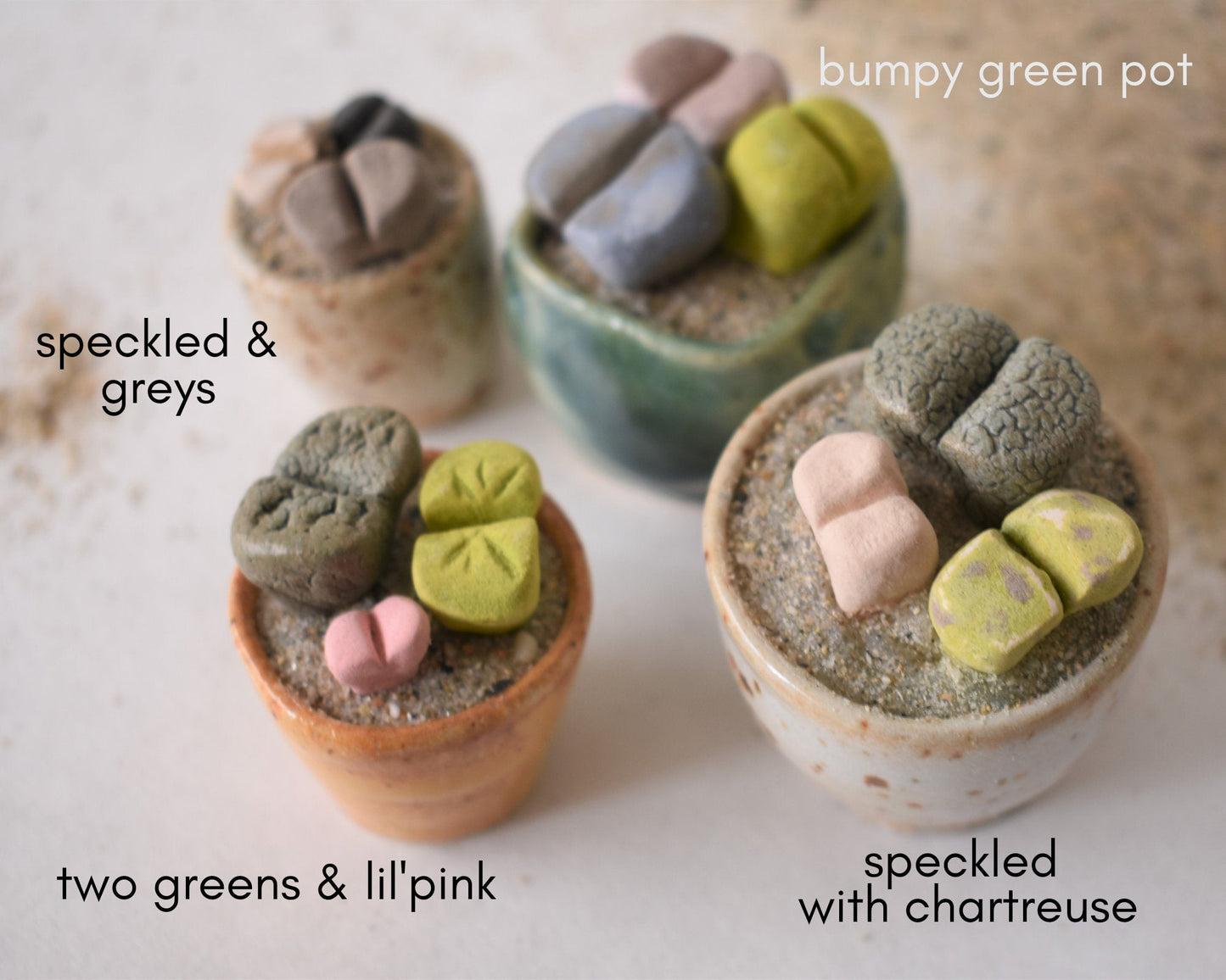 ceramic lithops