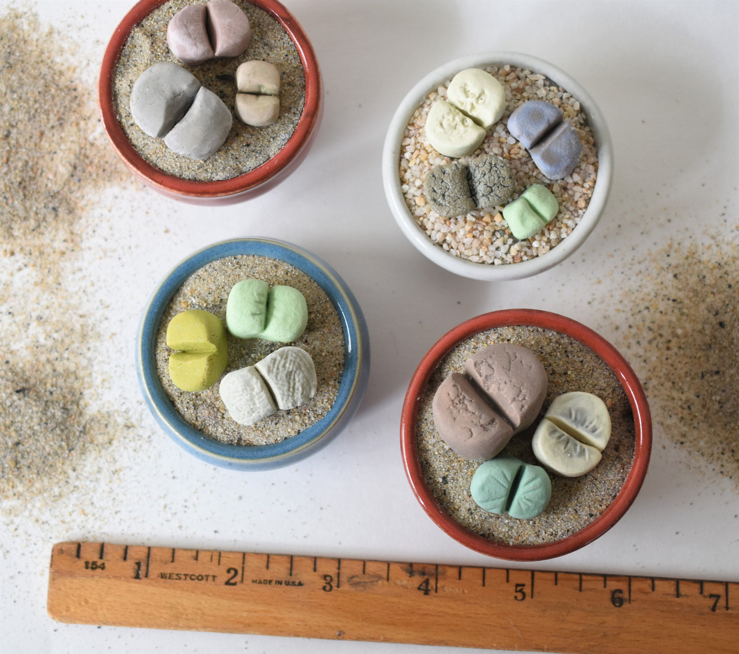 ceramic lithops