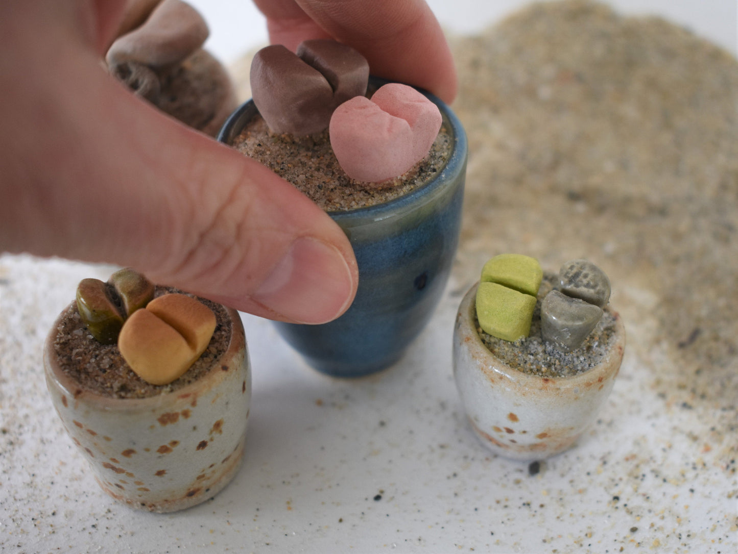 ceramic lithops