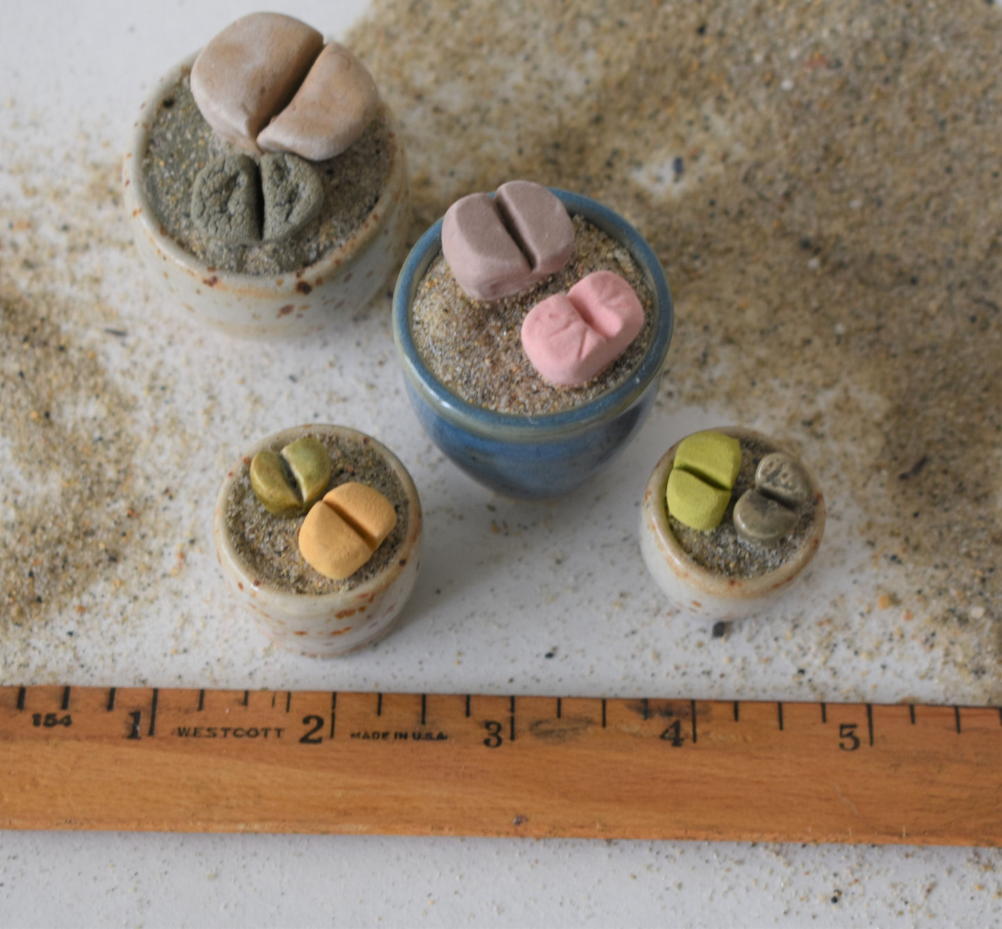 ceramic lithops