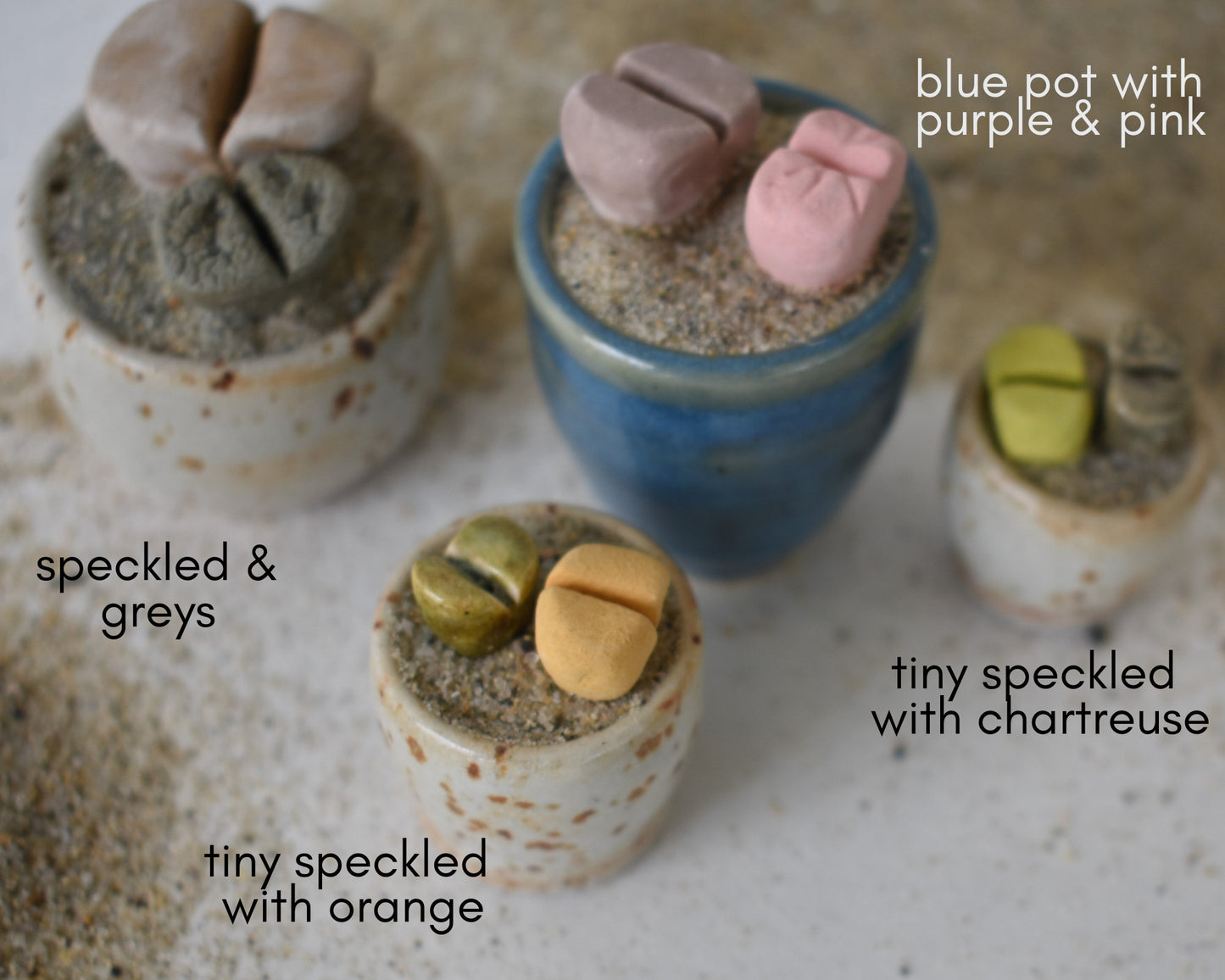 ceramic lithops