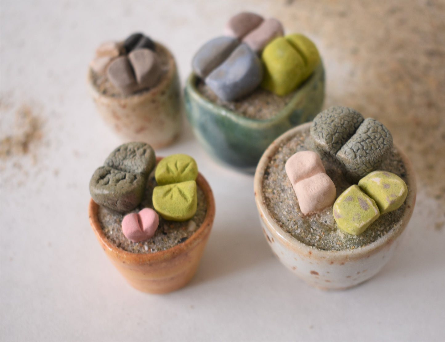 ceramic lithops