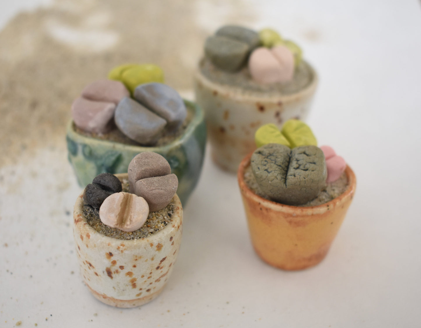 ceramic lithops