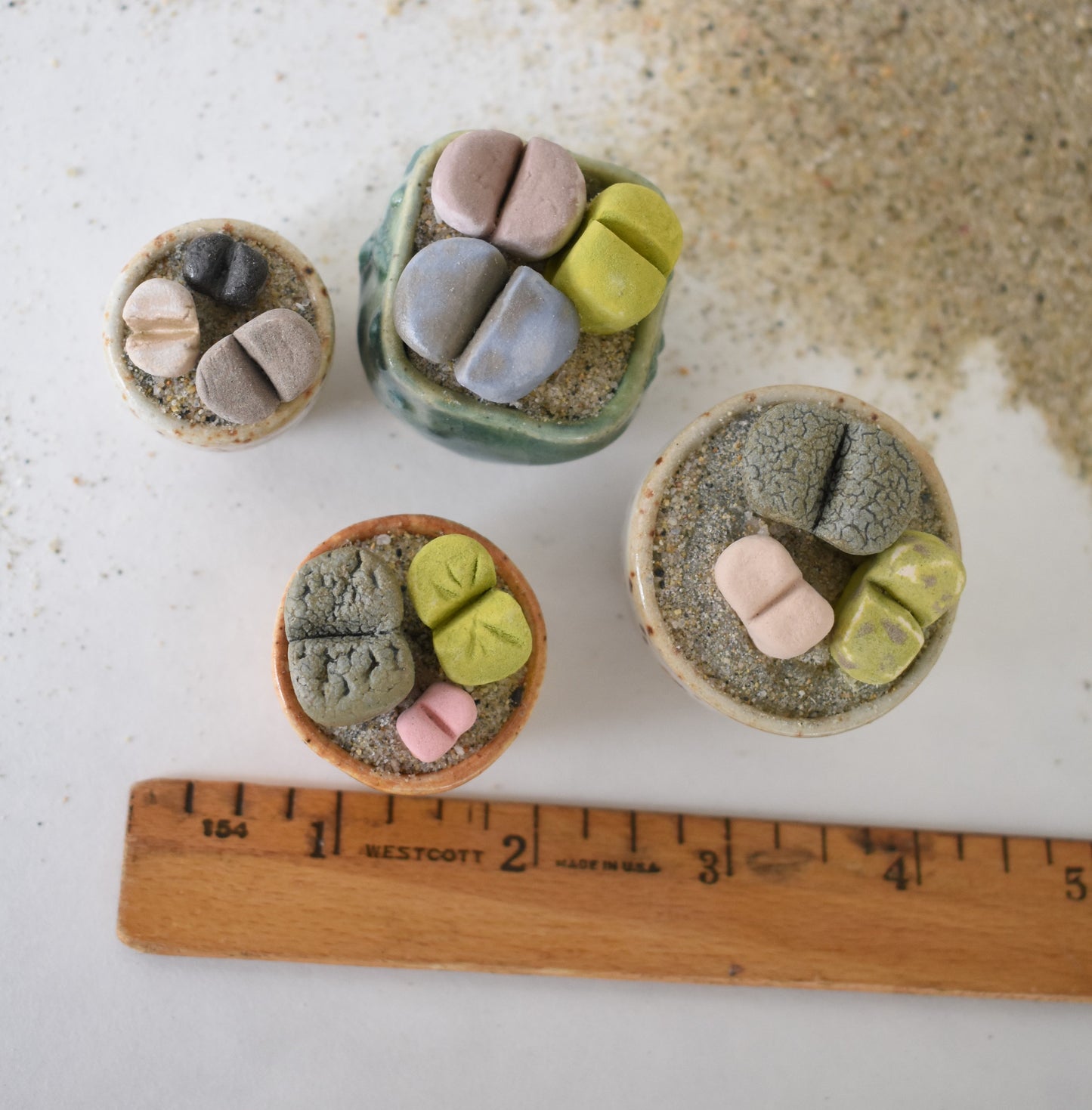 ceramic lithops