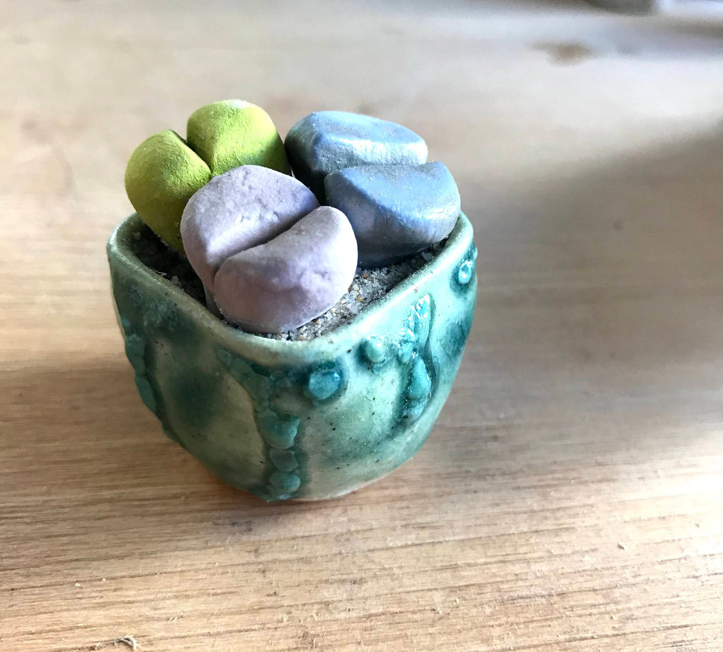 ceramic lithops