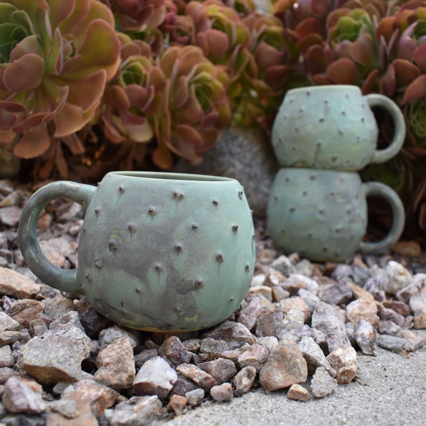 cactus mug