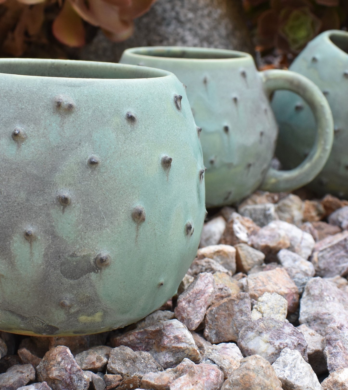 cactus mug